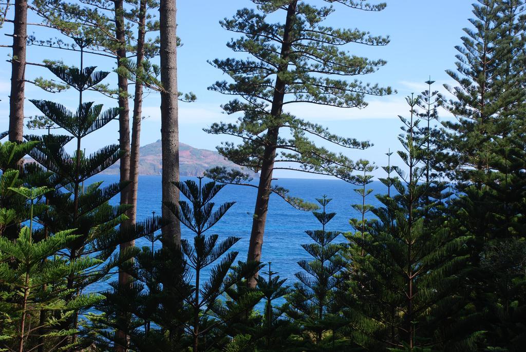 Apartament Coast Norfolk Island Burnt Pine Pokój zdjęcie
