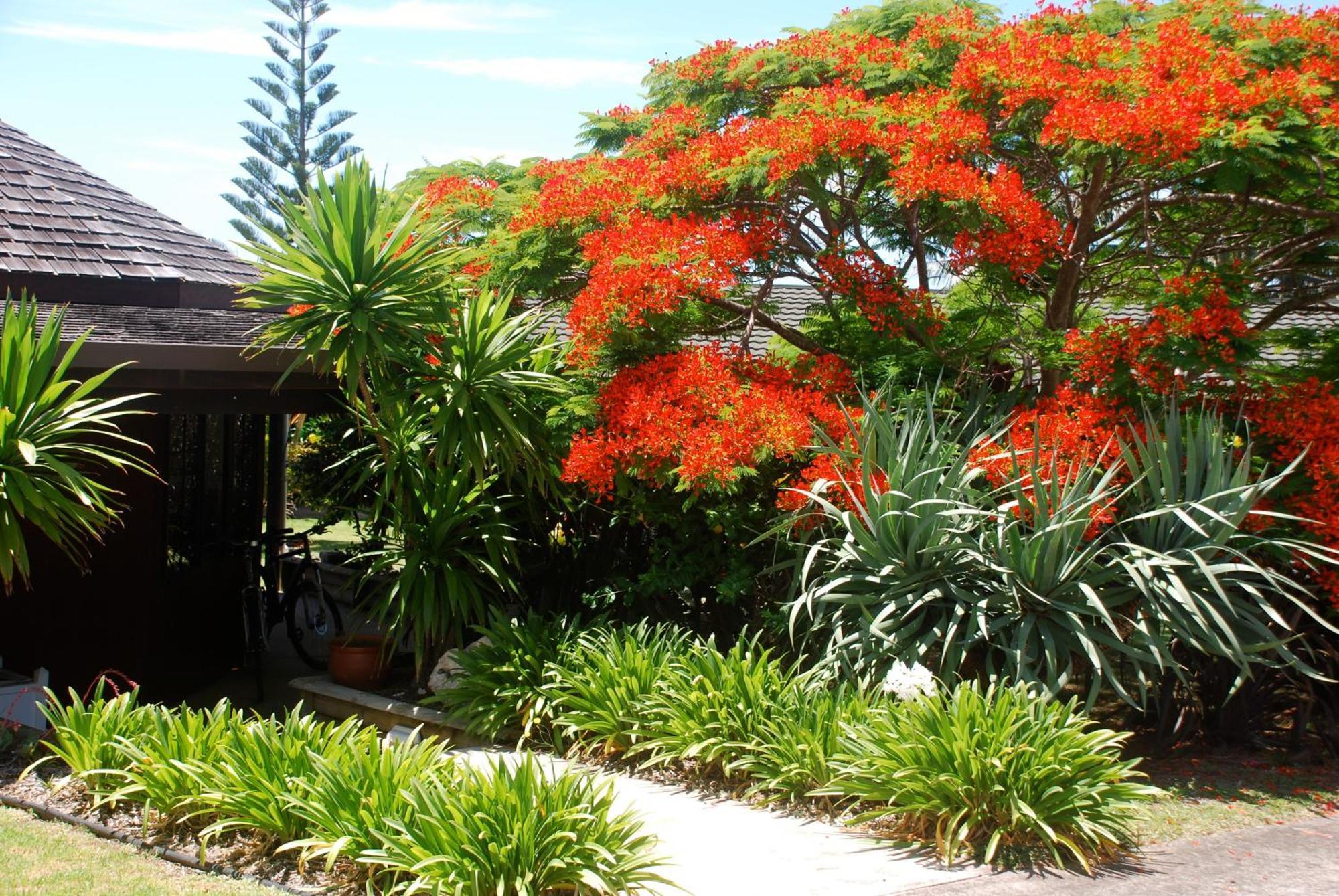 Apartament Coast Norfolk Island Burnt Pine Zewnętrze zdjęcie