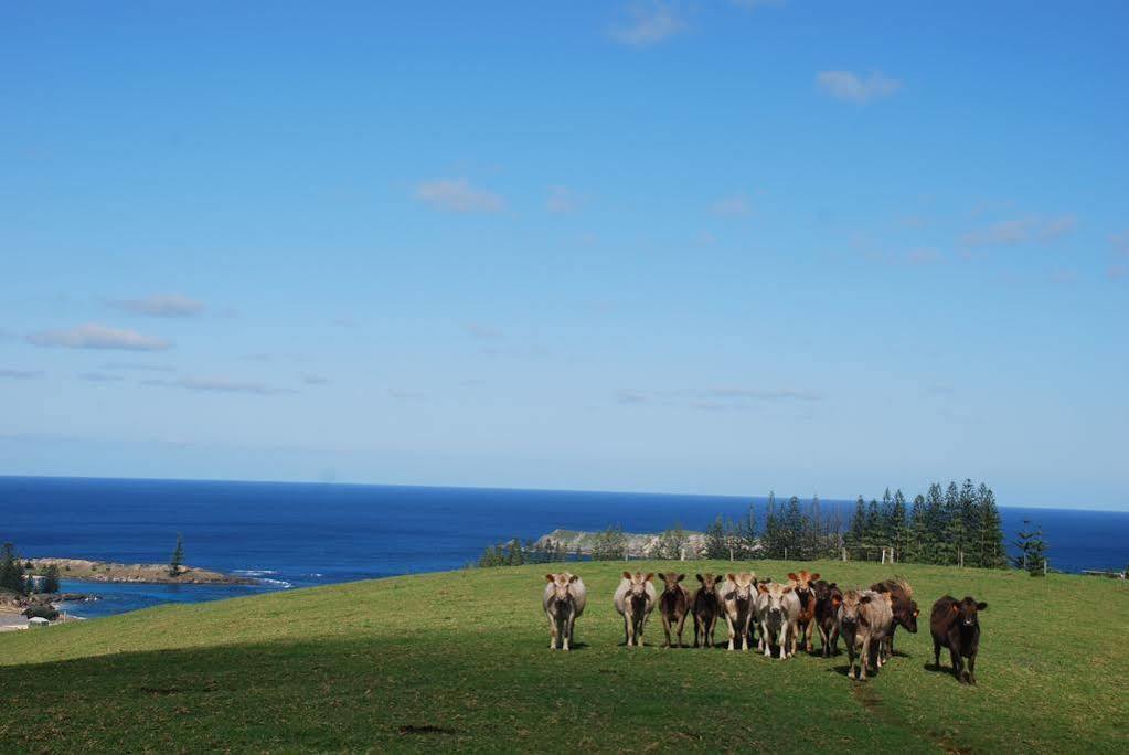 Apartament Coast Norfolk Island Burnt Pine Zewnętrze zdjęcie